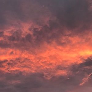 Meet your Posher, Mia